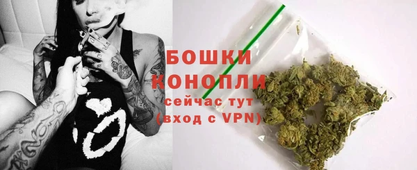 гидра Касимов