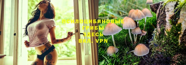 Альфа ПВП Карталы